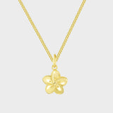Colar Hibisco