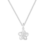Colar Hibisco